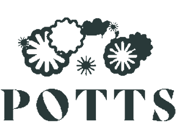 POTTS Paediatric OT